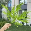 Outono 2026 Plantas Verdes Artificiais Casamento Decoração de Casa Plantas Verdes Falsas Atacado