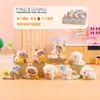 Venda Quente Fofo Misto Diário Caixa Surpresa Criativa Tendência Brinquedos Gatinho e Filhote de Cachorro Miniaturas Enfeites de Mesa Decoração de Casa Atacado