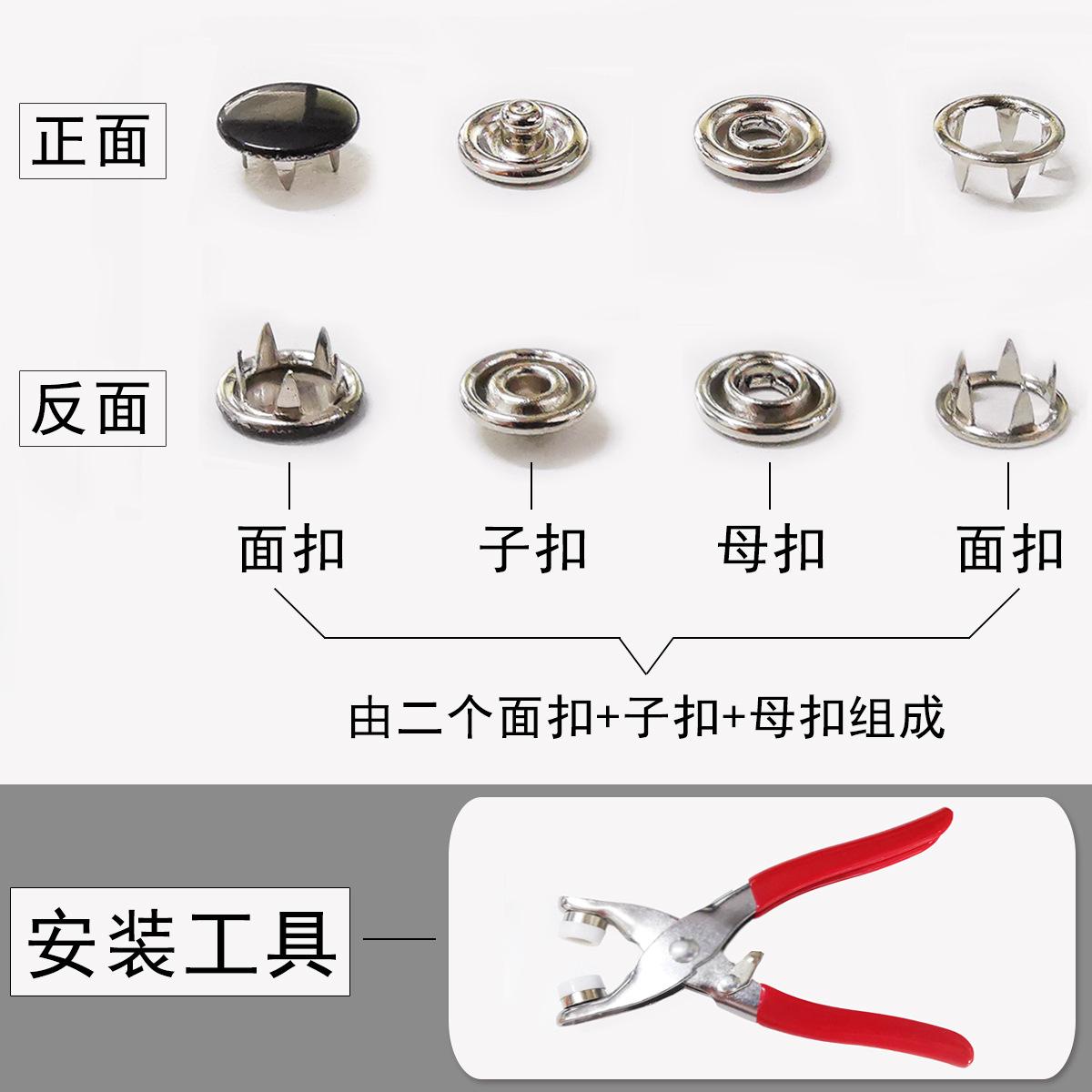 林面五爪钉 (6).jpg