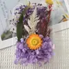 Flores Secas Mixtas Velas Hechas a Mano con Bricolaje Yeso Flores Reales Flores Inmortales Secas Sistema Multicolor Paquete de Materiales para Actividad Grupo de Marcos de Fotos