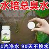 Tabletas Hidropónicas para Purificación de Agua de Plantas Desinfectantes Florista Purificar Calidad del Agua Flores Conservación Fresca Solución Nutritiva Rica en Bambú