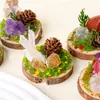 Adorno de musgo eterno para micro-paisaje de cristal con base de madera natural, decoración de cristal natural, piedra bruta de cristal, adorno de racimo de cristal