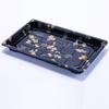 Caja de Sushi Ps Blíster Empaque de Alimentos Caja de Frutas Plástico Caja para Llevar Comida Caja para Llevar Fabricante Mayorista Portátil