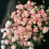 Plántulas de Rosa Gypsophila Ultra Finas, Plántulas de Rosas Florecientes, Florales de Maceta de Cuatro Estaciones, Plantas Trepadoras, Rosales y Plantas Verdes