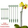 Jardinagem bonsai suporte phalaenopsis haste de suporte phalaenopsis vaso de planta moldura de proteção de flores fixo atacado