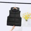 [Cara Brillante Sin Lavar] Chaleco de Algodón con Plumón Infantil para Hombres y Mujeres Niños Grandes y Pequeños Chaleco Grueso para Abrigo con Capucha en Otoño e Invierno