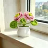 Plantas em Vasos Acabadas de Fronteira, Buquês de Flores Tecidos à Mão com Fio, Vários Tipos de Pequenos Ornamentos de Lótus para a Sala de Estar, Plantas em Vasos de Tricô