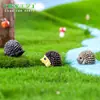 Figura miniatura de erizo para microjardinería, accesorios de decoración DIY, paisajismo en botella ecológica, pequeños adornos de resina