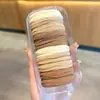 Elástico de Cabelo para Mulheres 2026 Novo Estilo Rabo de Cavalo Alto Prendedor de Cabelo Antiderrapante Corda de Cabelo Espessa de Alta Elasticidade Anel de Cabelo Acessório de Cabelo
