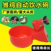 Pollitos, patos, gansos, palomas, bebederos, palomas, dispensadores de agua para beber, codornices, pollos, bebederos automáticos, suministros de agua para beber para pollos