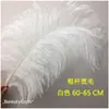 Plumas de Avestruz Reales 10-80CM Blancas Decoraciones para Pasillo de Boda Centros de Mesa Plumas de Avestruz DIY Accesorios Decorativos de Plumas Plumas Grandes