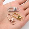Aleación de Zinc Pintura Horneada a Color Hebilla de Puerta Pequeña Hebilla de Llave Giratoria Hebilla de Perro Hebilla Colgante para Bolso/Muñeca Accesorios de Joyería DIY