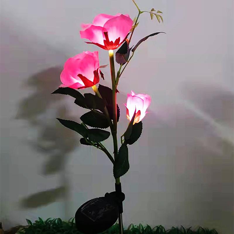 c111664ddb0088dafbca3e9e079999
