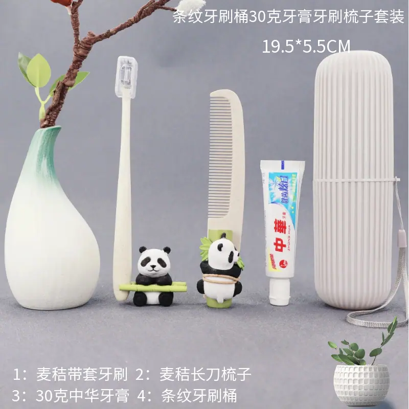 马赛图条纹牙刷桶30克中华牙膏牙刷梳子套装.png