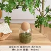 Pote de Vidro Transparente Selado para Grãos de Café de Grau Alimentício Pote para Chá Alto Valor de Cor Armazenamento à Prova de Umidade para Grãos