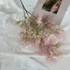 Fruta peluda escarcha rosa daiko gordo suelto pequeño niebla flor de vainilla esponjoso cedro hierba acuática flor artificial camino de plantación verde