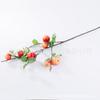 Simulación personalizada de manzana, fruta de la paz, decoración del hogar, simulación de fruta, accesorios de tiro creativos navideños, manzana pequeña