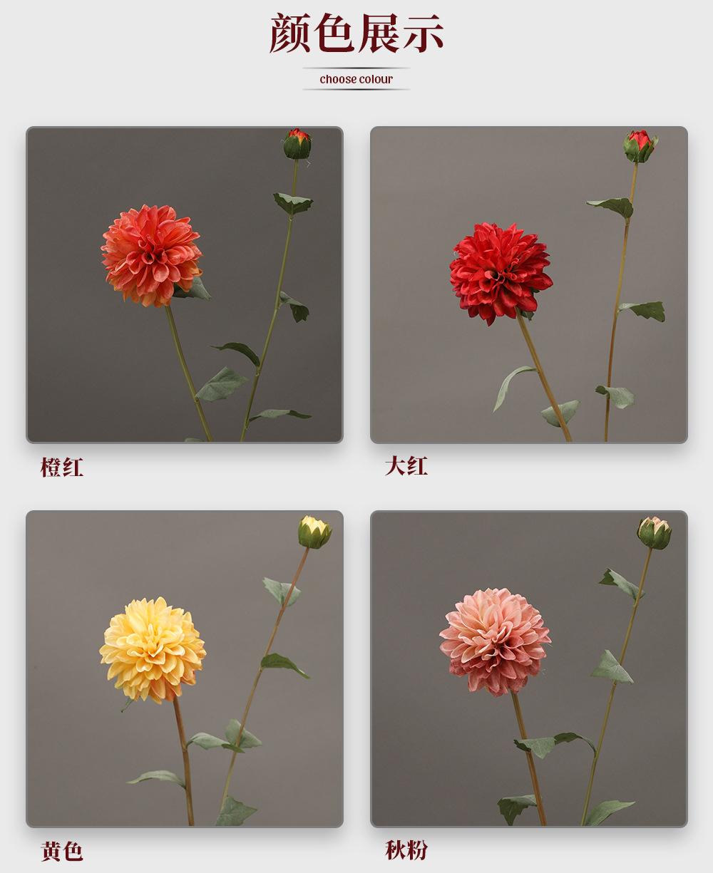 2头迷你大丽花_03.jpg