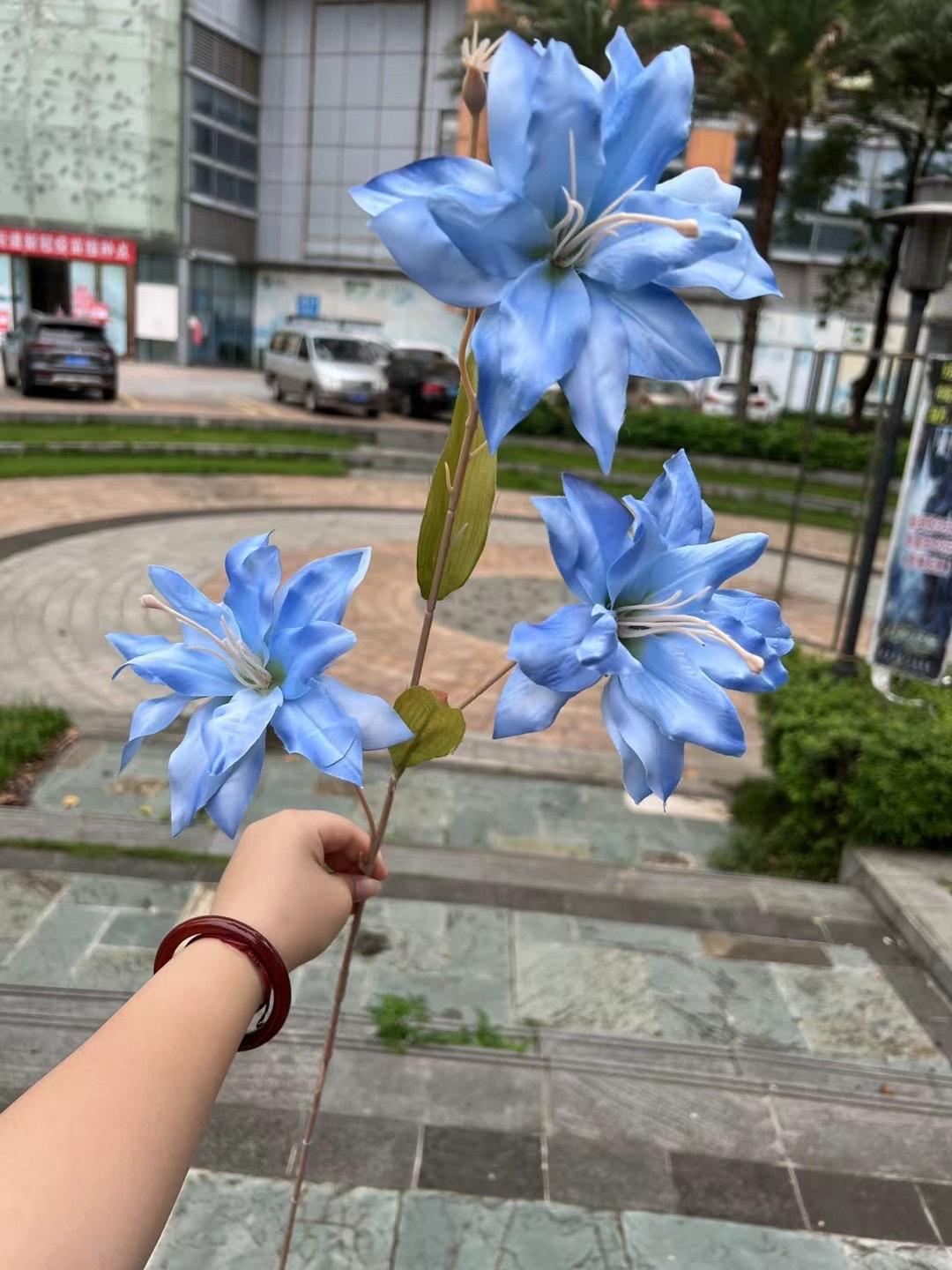 微信图片_20240729142730.jpg