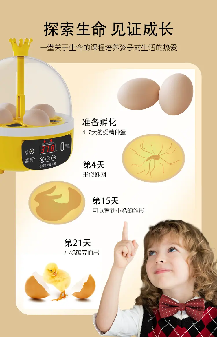 画板 3.png