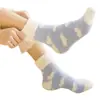 Nuevos Calcetines de Terciopelo Coral para Mujer Otoño e Invierno, Calcetines Gruesos para Adultos, Calcetines Casuales de Color Puro con Puño, Suministro Directo del Fabricante