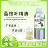 Aceite Esencial de Hoja de Eucalipto, Aceite Esencial Extraído de Origen Vegetal de Destilación Única, Aceite de Hoja de Eucalipto Azul, Aceite Esencial de Árbol de Eucalipto para Cosméticos
