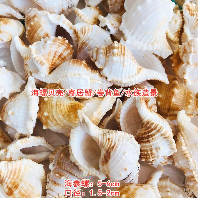 QQ图片20211016153629.jpg
