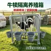 Caja de Aislamiento para Terneros de Tubo Engrosado Anti-Colisión Corral de Alimentación para Terneros Lecheros Corral para Cría de Terneros Tipo Columna a Gran Escala para Rancho