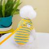 Nova coleira de pelúcia de urso teddy Bomei York para cães de estimação, roupas de verão para cães pequenos, gatos, cães, outono e inverno