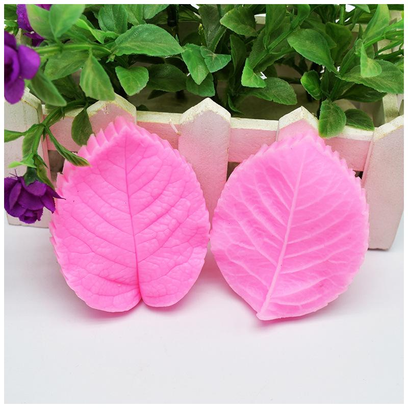 12401224206_1627747724