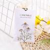 Sachê Inglês Transfronteiriço Sachê Amazon Sachê para Guarda-Roupa Sapateira Desodorante para Roupas Bolsa Aromática Aromaterapia para Pendurar no Carro Sachê Desodorante