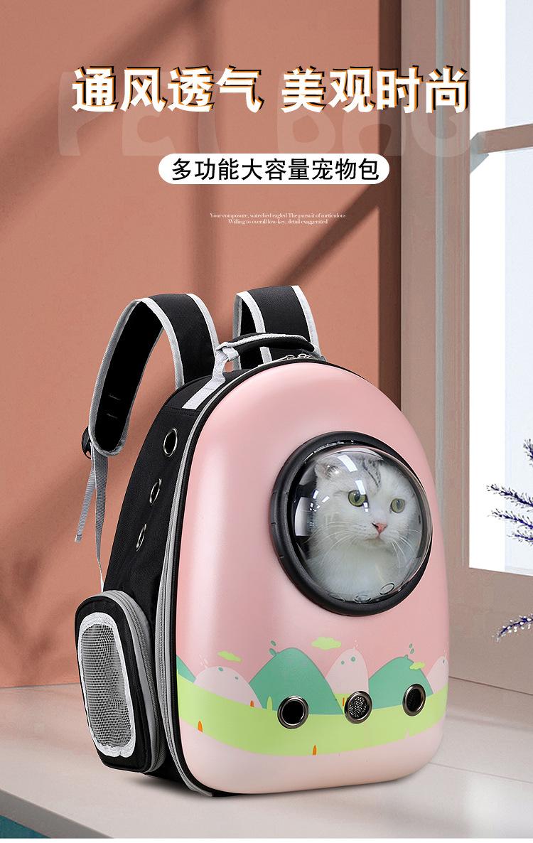 未标题-1_01