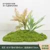 Musgo Sintético Decoración Suave para Interiores Conjunto de Micro Paisaje Combinación Exhibición en Ventana Pasillo Musgo Artificial Plantas Verdes Arreglo de Paisajismo Decoración