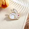 Broche de hebilla antideslumbrante para mujer, sentido de alta gama, nicho de alta gama, pin de ramillete de alta gama, pequeños accesorios de incienso, lindo dibujo animado al por mayor