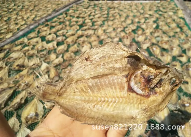 中号13.jpg
