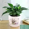 Filodendro Princesa Hoja Grande Diamante Dorado Planta Verde Fresca Divertida de Escritorio para Interiores Planta en Maceta Fácil de Mantener Florales y Plantas Hermosas