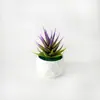 Enfeites Decorativos de Cruz Plantas Suculentas em Vasos para Desktop Paisagismo Simulado Plantas de Interior Estação de Trabalho Mesa de Escritório Decoração Casa
