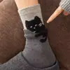 Calcetines de moda para otoño e invierno, calcetines lindos de gato para mujer, calcetines de estilo japonés ins de moda de terciopelo sintético hasta la pantorrilla, calcetines de dibujos animados de Zhuji