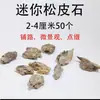 Corteza de Pino Natural Piedra Bonsái Decoración Acuario Paisajismo Piezas de Paisaje Pequeñas Rocalla Porosa Plantas Artificiales Producto Terminado Duradero Tipo Cañón