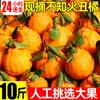 Laranja Feia Fruta Feia 5kg Fruta Fresca da Estação Mexericas de Casca Fina Caixa Inteira de Laranjas