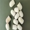 Utensílios de Maquiagem Esponja com Cabeça Esponjosa Gloss Labial Esponja com Cabeça de Cogumelo Corretivo Esponja com Cabeça Esponjosa de Alto Brilho