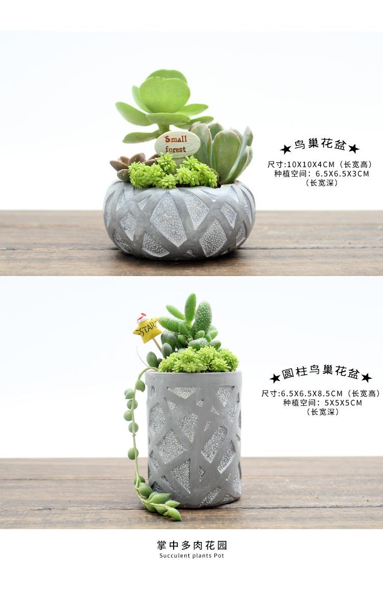 多肉花盆小号2_04