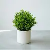 Nueva Planta Verde Artificial Más Vendida en Amazon Plantas en Maceta Estilo Europeo Frescas Plantas Verdes Decorativas para el Hogar Venta al por Mayor