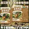 Leche de Perro Salvaje, calcomanías estilo Guangxi, calcomanías de broma, calcomanías de broma abstractas - nada dura para siempre