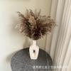 Fábrica de decoração de flores secas de junco Puxi pequena Luchai atacado estilo nórdico flor eterna Puxi transfronteiriço Amazon