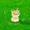 Producto nuevo transfronterizo rana sonriente luminosa partículas lindas estanque paisajismo decoraciones diy accesorios colgantes micro-paisaje adornos pequeños