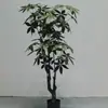 Venta al por mayor de fábrica árbol de la fortuna de simulación árbol falso planta de simulación planta verde de sentido avanzado decoración de hogar hotel flores artificiales