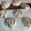 Natural Shell Galvanizado Concha Borda Brincos de prata Chaveiro Pingente DIY Material Artesanal Acessórios de Jóias