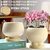 Oferta Especial: Vaso de Flor de Cerâmica com Design Minimalista na Cor Creme, Inclui Prato, Respirável, Adequado para Uso Doméstico na Varanda, para Plantas Verdes, Orquídeas, Suculentas e Plantas Pequenas em Vasos