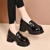 Zapatos de Cuero Pequeños con Hebilla Metálica Estilo Británico Vintage para Mujer Invierno 2024 Nuevos Tacón Grueso Suela Gruesa Versátiles Mary Jane de una Sola Capa para Mujer